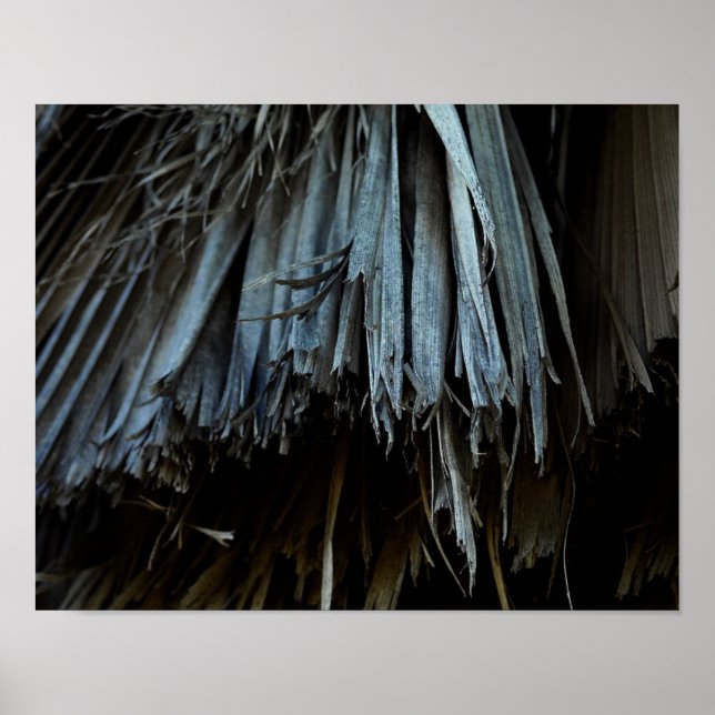 Handflatan Träd Löv Poster (Framsidan)