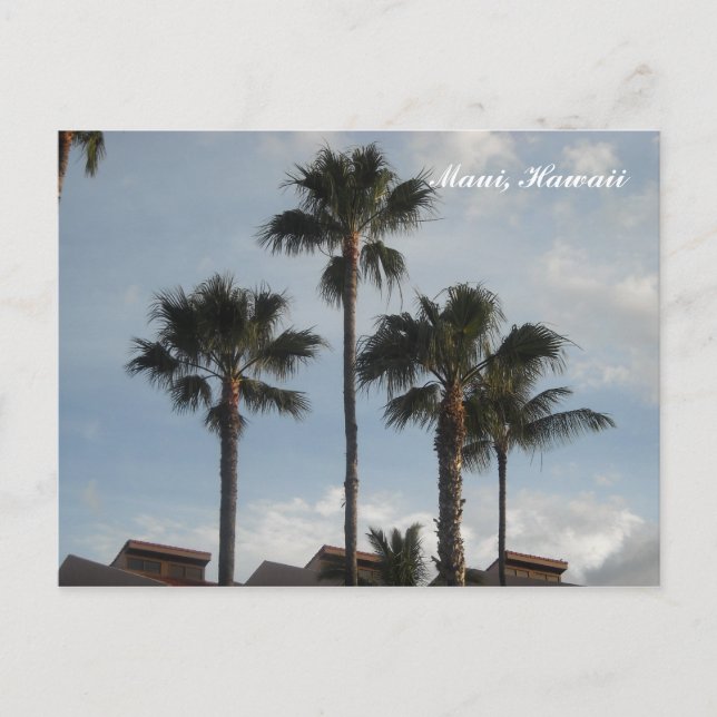Handflatan Träd Maui Hawaii Vykort (Framsida)
