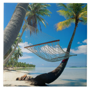 Handflatan Träd med Hammock, tropisk scen. Kakelplatta