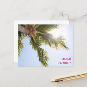 Handflatan Träd Miami Florida Travel vykort