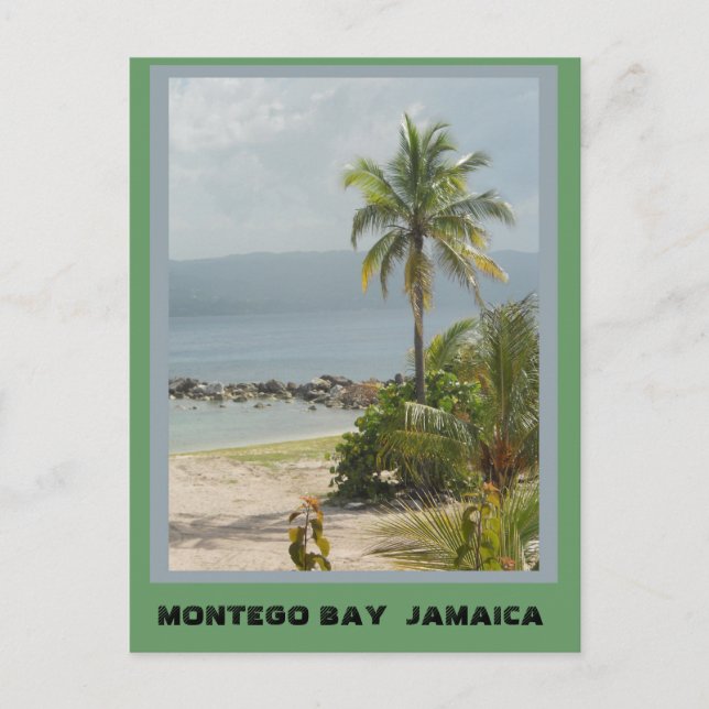 Handflatan Träd, Montego Bay Jamaica Vykort (Framsida)