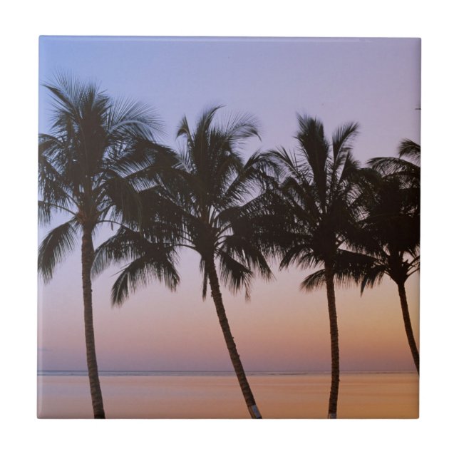 Handflatan träd, morgon kakelplatta (Framsidan)