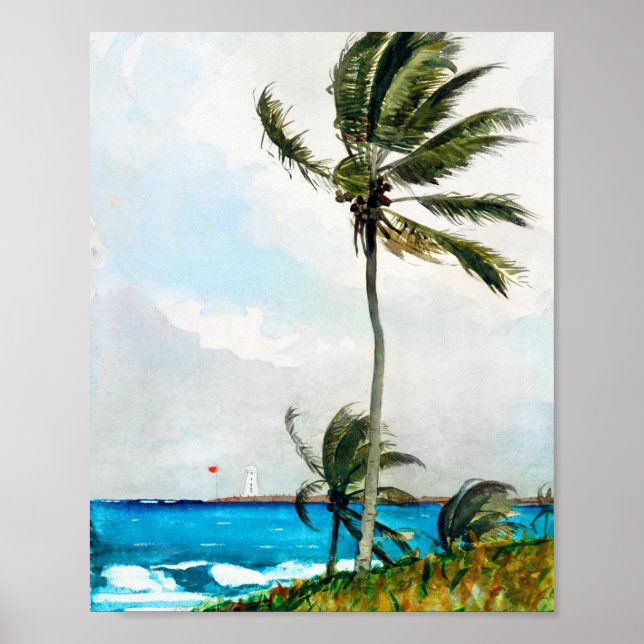 Handflatan Träd Nassau av Winslow Homer Poster (Framsidan)