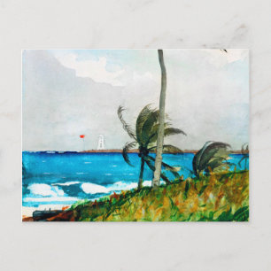 Handflatan Träd Nassau av Winslow Homer Vykort