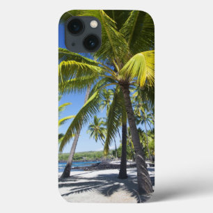 Handflatan träd, nationalparken Pu'uhonua o