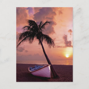 Handflatan Träd och Boat Beach Sunset Helg Vykort