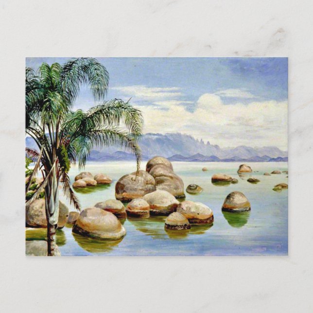Handflatan Träd och Boulders i Rio-bukten, Brasili Vykort (Framsida)