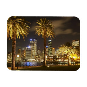 Handflatan Träd och CBD i Night, Sydney, New Sout Magnet