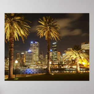 Handflatan Träd och CBD i Night, Sydney, New South Poster