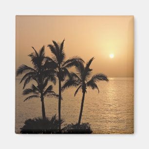 Handflatan Träd och Romantic Sunset Magnet