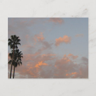 Handflatan Träd och Rosa Clouds Blank Art-vykort Vykort