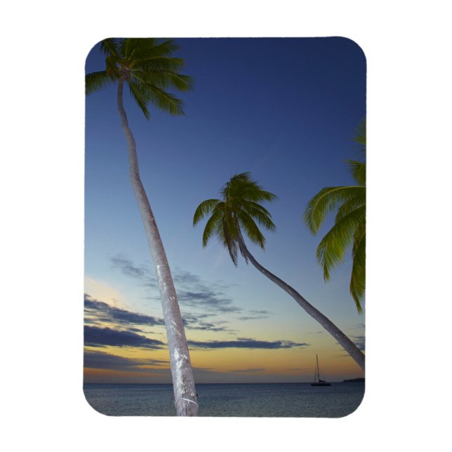 Handflatan träd och solnedgång, Plantation Island  Magnet (Vertikal)