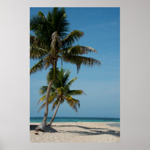 Handflatan träd och vit sandstrand poster