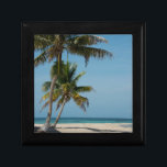 Handflatan träd och vit sandstrand smyckeskrin<br><div class="desc">Cindy Miller Hopkins / DanitaDelimont.com| Centralamerika,  Belize| Belize. Goff Caye,  en populär Barrier Reef-ö från Belize. Handflatan träd och vit sandstrand.</div>