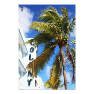 Handflatan Träd om Miami Beach Fototryck