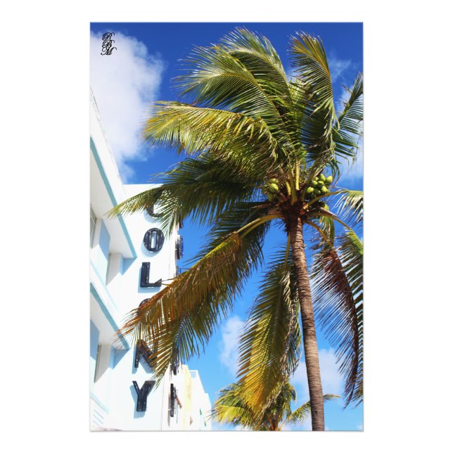 Handflatan Träd om Miami Beach Fototryck (Framsidan)