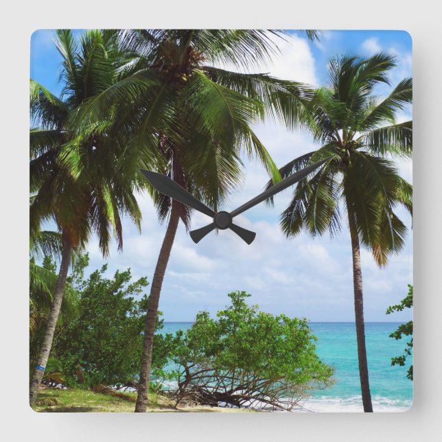 Handflatan Träd om mul- och klövsjuka i det tropis Fyrkantig Klocka (Framsida)