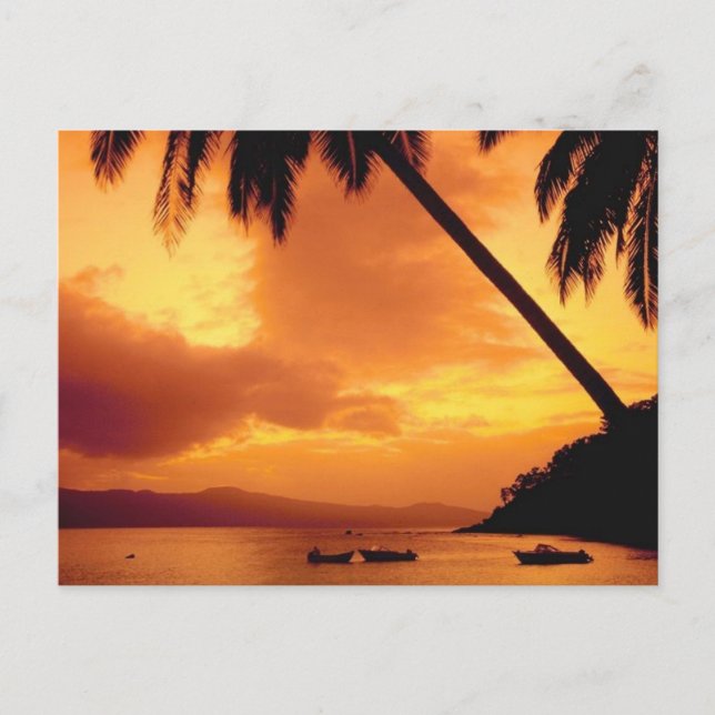 Handflatan Träd över Vatten Vykort (Framsida)