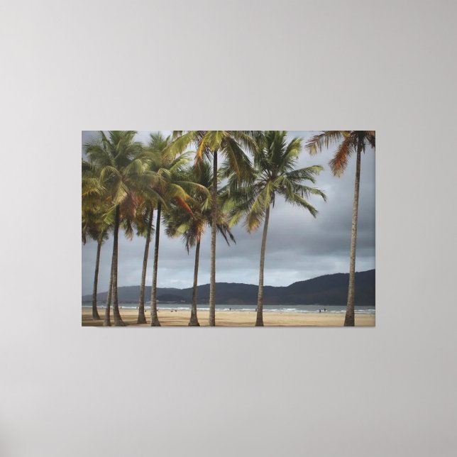 Handflatan träd på Gonzaga Beach, Santos, Brasilie Canvastryck (Framsida)