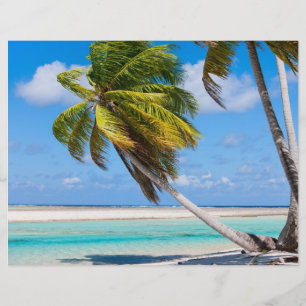 Handflatan träd på havsstranden reklamblad