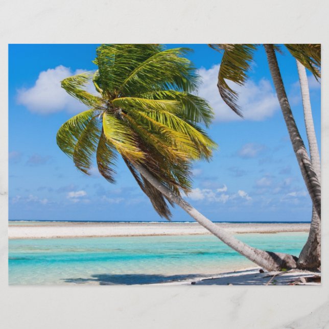 Handflatan träd på havsstranden reklamblad (Framsidan)