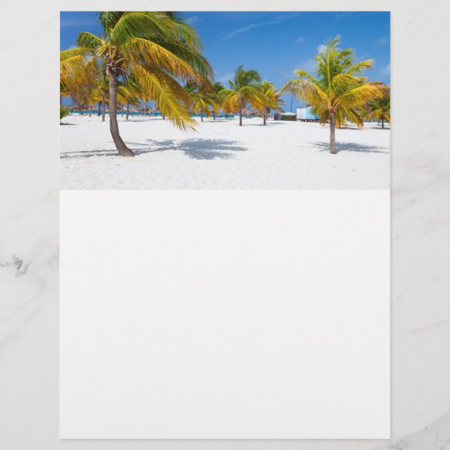 Handflatan träd på havsstranden reklamblad (Framsidan)