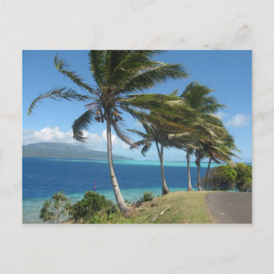 Handflatan Träd på ön Taha' Tahiti Vykort