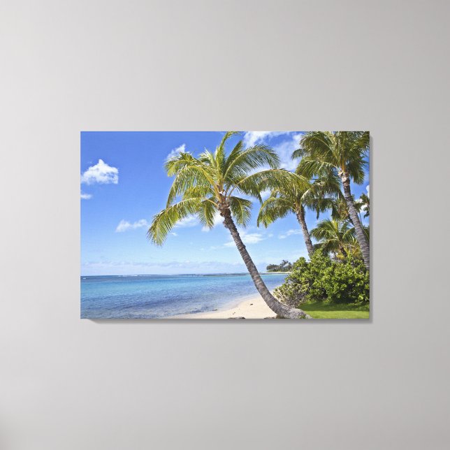 Handflatan träd på stranden på Hawaii. Canvastryck (Framsida)