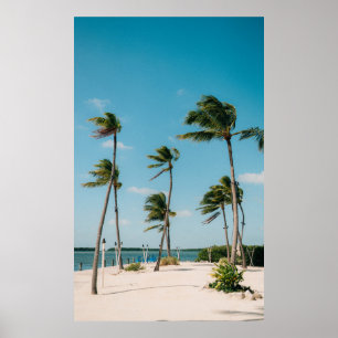 Handflatan träd på stranden på morgonen poster
