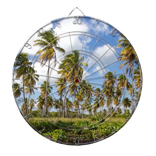 Handflatan träd på stranden vid Isla Saona Darttavla (Framsidan)