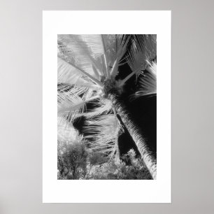 Handflatan Träd Poster