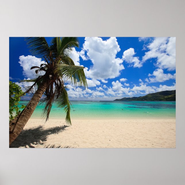 Handflatan träd poster (Framsidan)