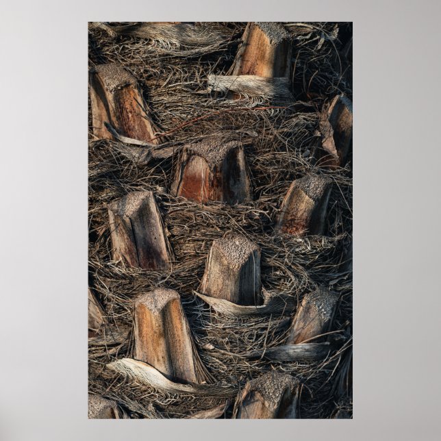 Handflatan Träd Poster (Framsidan)