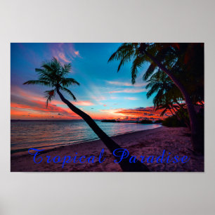 Handflatan Träd Sandy Beach Tropical Paradise Isla Poster