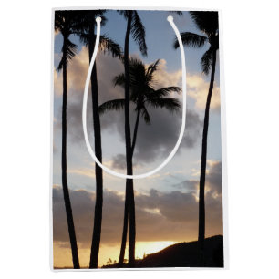 Handflatan Träd Silhouettes in Hawaii