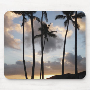 Handflatan Träd Silhouettes in Hawaii Musmatta