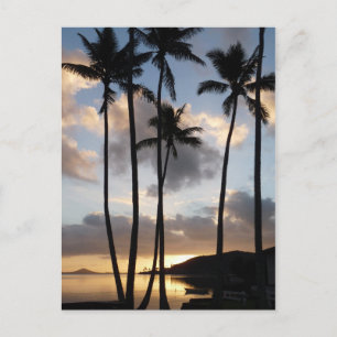 Handflatan Träd Silhouettes in Hawaii Vykort