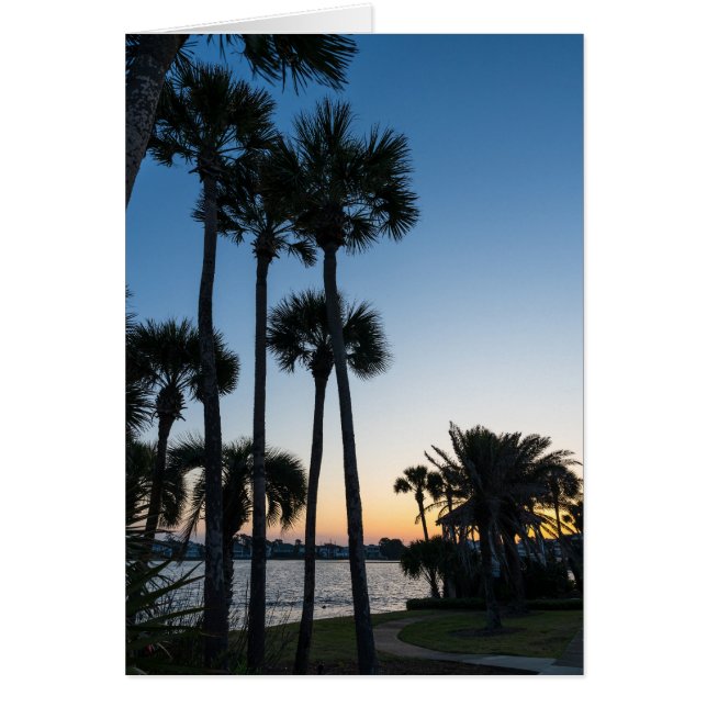Handflatan Träd Sunrise Destin Florida Greeting Ca Hälsningskort (Framsidan)