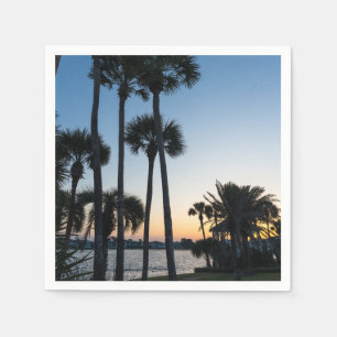 Handflatan Träd Sunrise Destin Florida Pappersserv Pappersservett