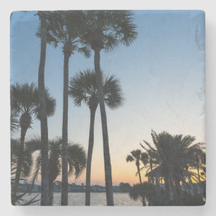 Handflatan Träd Sunrise Destin Florida Stone Under Stenunderlägg