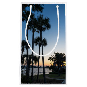 Handflatan Träd Sunrise Destin Florida Tall Gift B