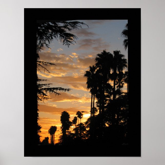 Handflatan Träd Sunset Los Angeles 11x14 Poster (Framsidan)