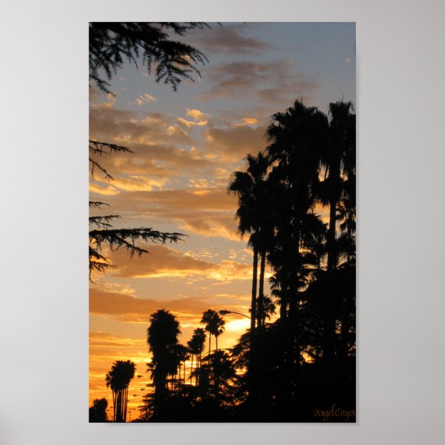 Handflatan Träd Sunset Los Angeles Poster (Framsidan)