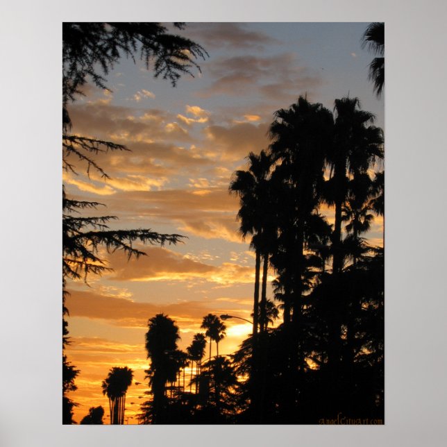 Handflatan Träd Sunset Los Angeles Poster (Framsidan)