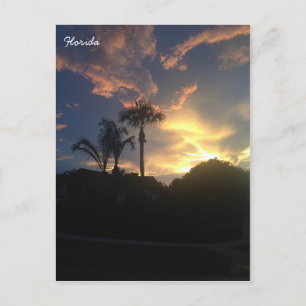 Handflatan Träd Sunset Vykort