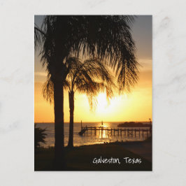 Handflatan Träd Sunset Vykort