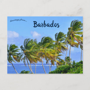 Handflatan Träd Swuting i Barbados Vykort