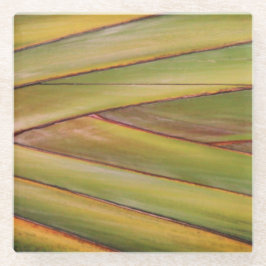 Handflatan Träd Underlägg