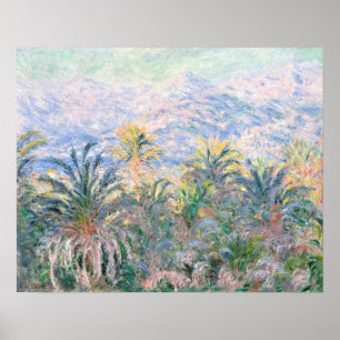 Handflatan Träd vid Bordighera (1884) av Claude M Poster