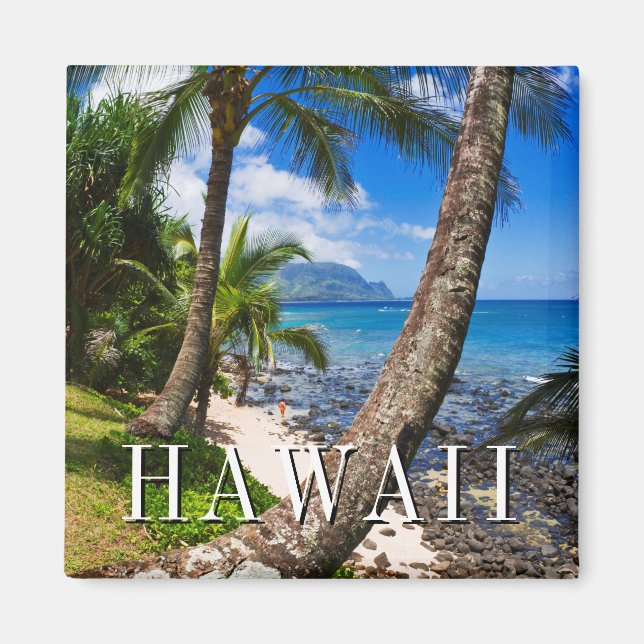 Handflatan Träd vid Hideaways Beach Magnet (Framsidan)